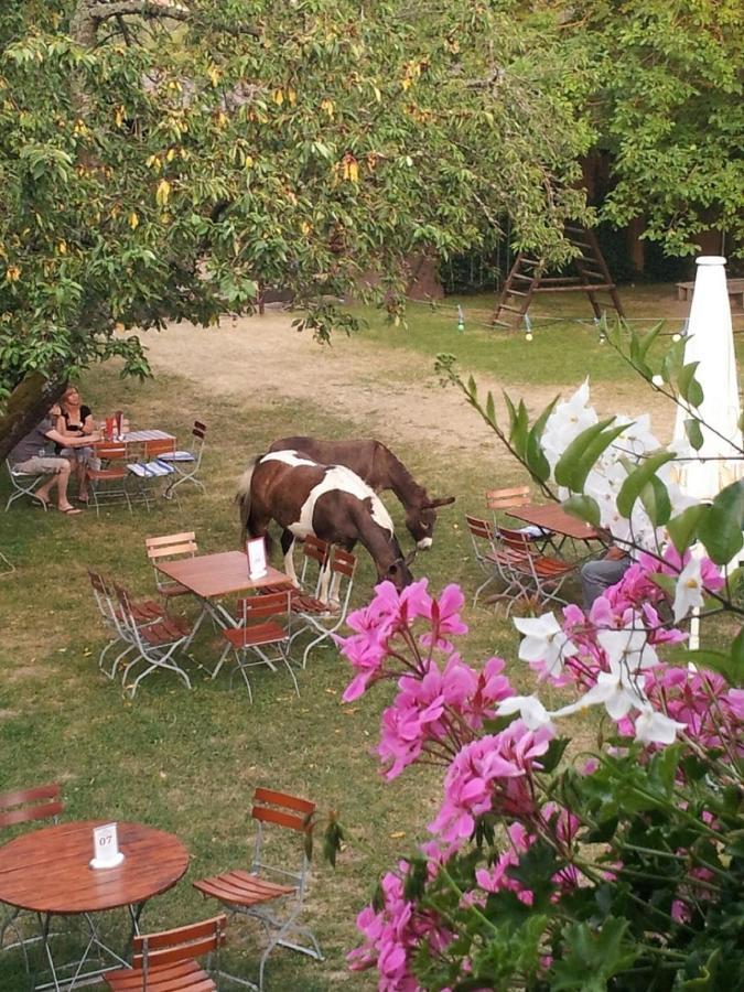 Hotel Alber Leinfelden-Echterdingen Εξωτερικό φωτογραφία